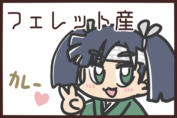 フェレット産